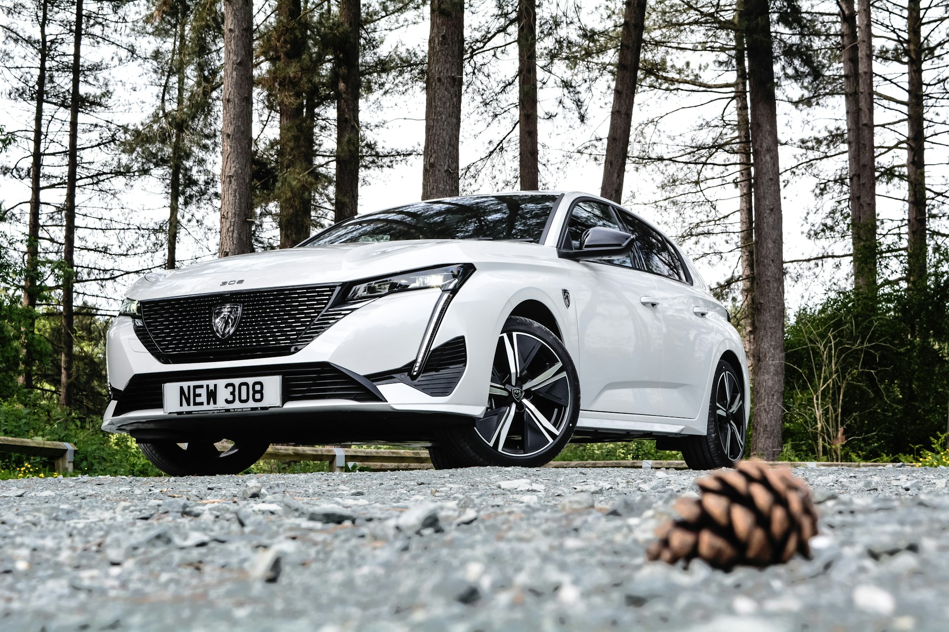 Peugeot a été élue marque préférée des Français. Unsplash