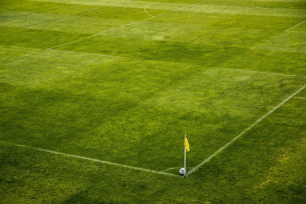 Euro 2016 : beaucoup d'audience pour les chaînes